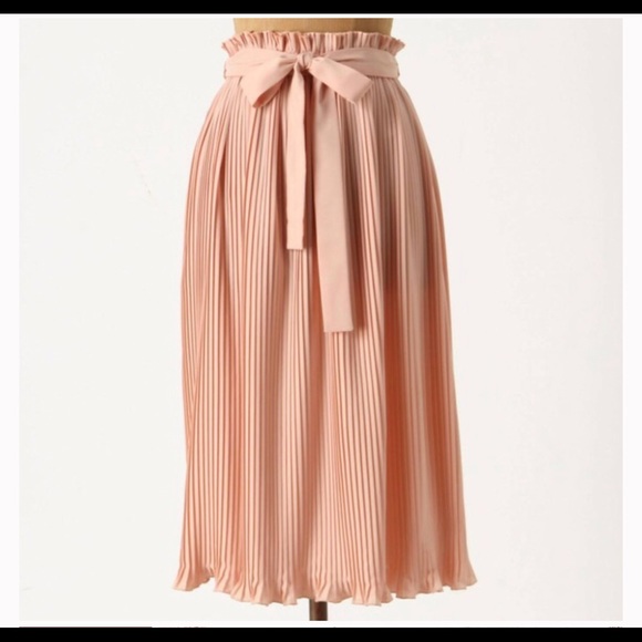 Anthropologie Dresses & Skirts - Anthropologie Million Pleats midi skirt M